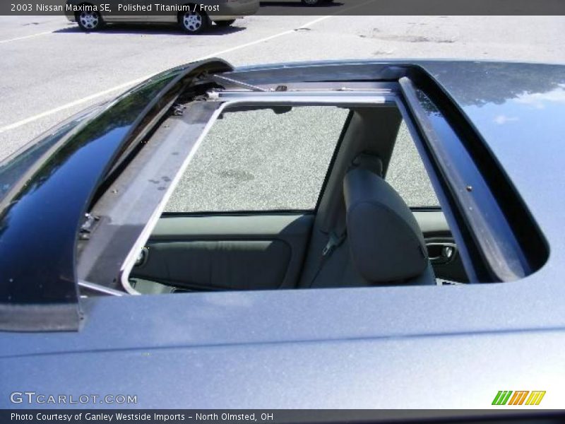 Polished Titanium / Frost 2003 Nissan Maxima SE