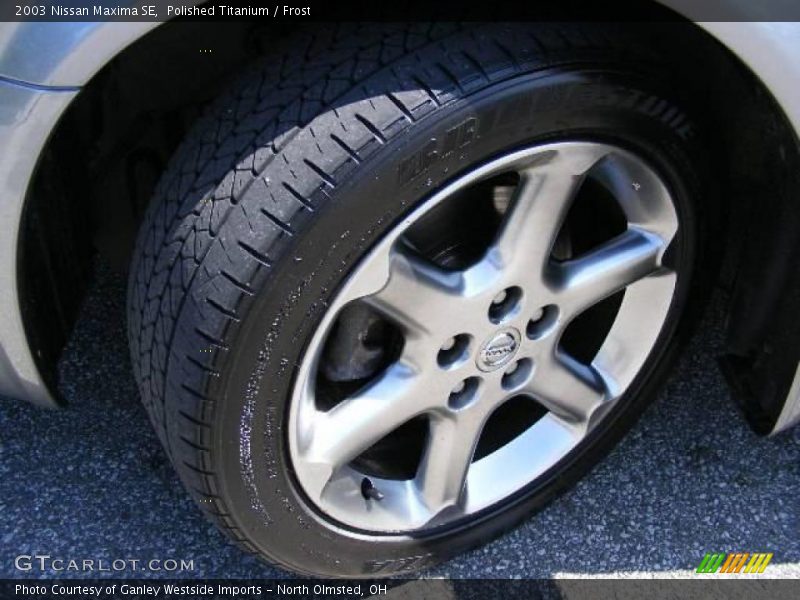 Polished Titanium / Frost 2003 Nissan Maxima SE