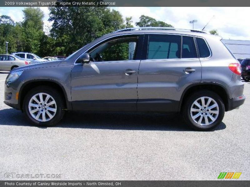 Alpine Grey Metallic / Charcoal 2009 Volkswagen Tiguan SE