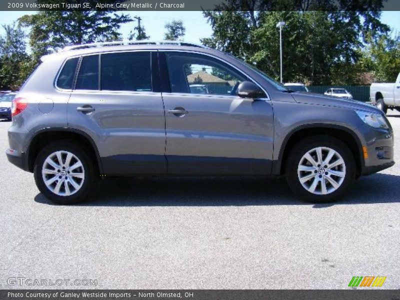 Alpine Grey Metallic / Charcoal 2009 Volkswagen Tiguan SE
