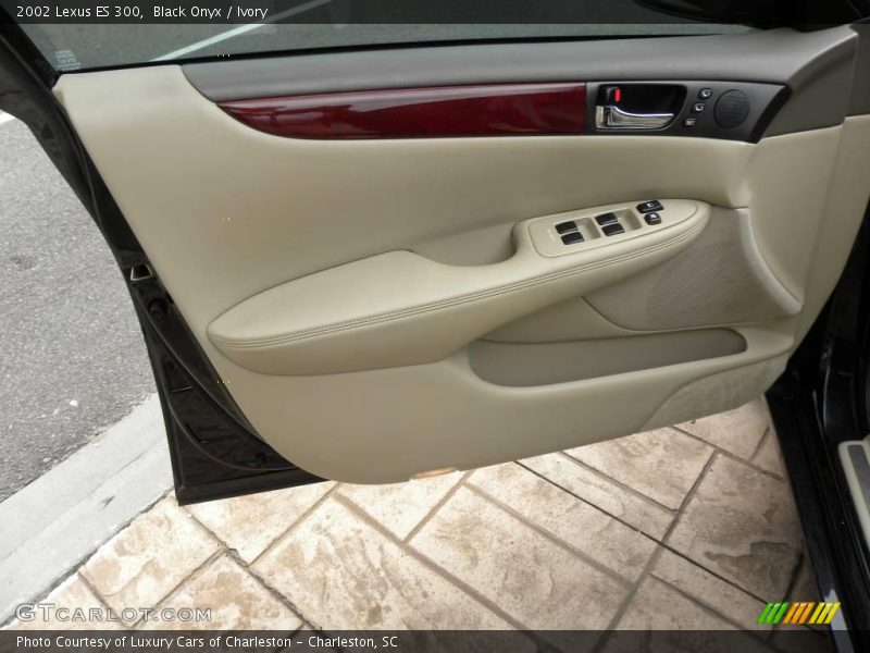Black Onyx / Ivory 2002 Lexus ES 300