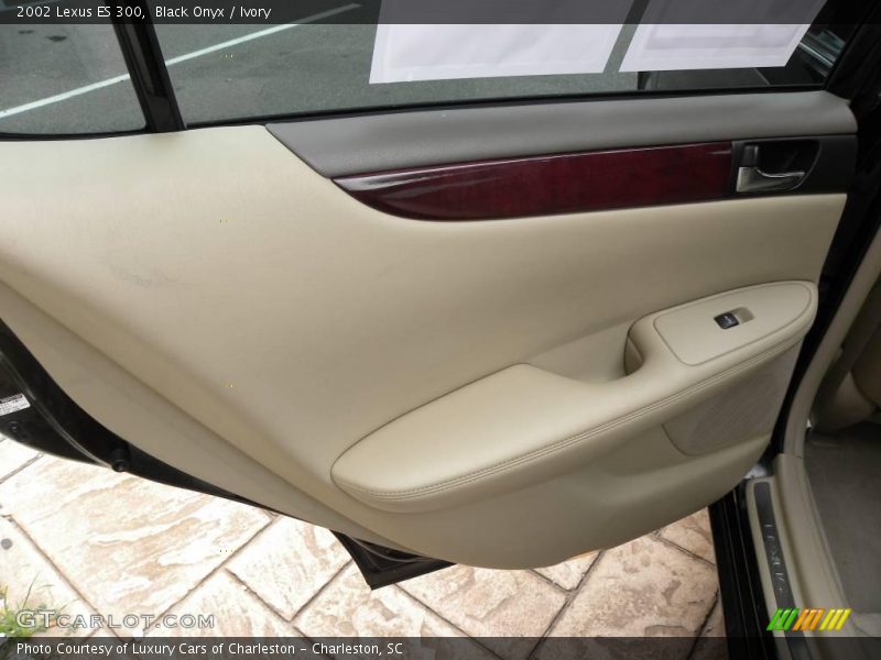 Black Onyx / Ivory 2002 Lexus ES 300