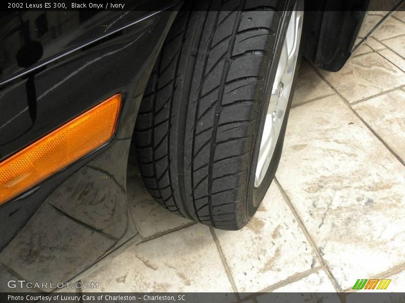 Black Onyx / Ivory 2002 Lexus ES 300