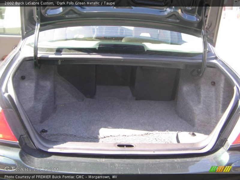 Dark Polo Green Metallic / Taupe 2002 Buick LeSabre Custom