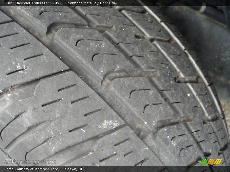 Silverstone Metallic / Light Gray 2005 Chevrolet TrailBlazer LS 4x4