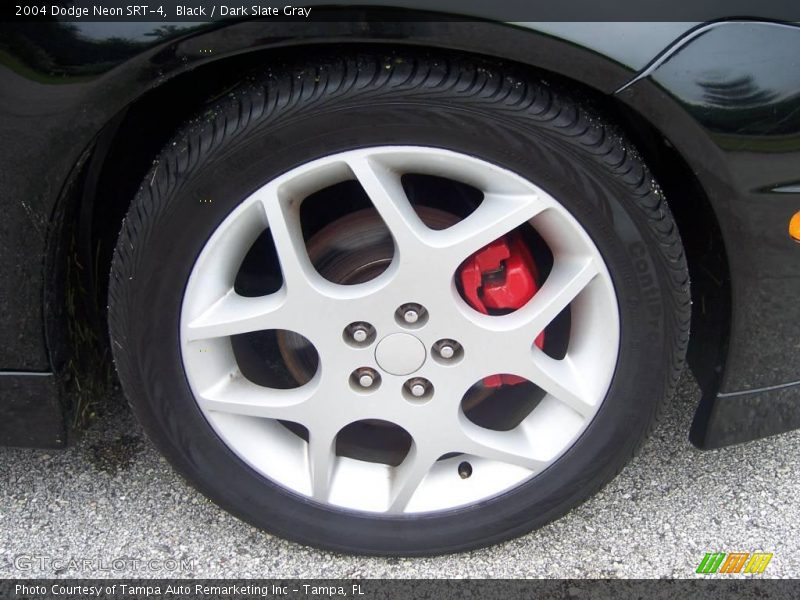 Black / Dark Slate Gray 2004 Dodge Neon SRT-4