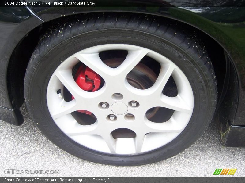Black / Dark Slate Gray 2004 Dodge Neon SRT-4