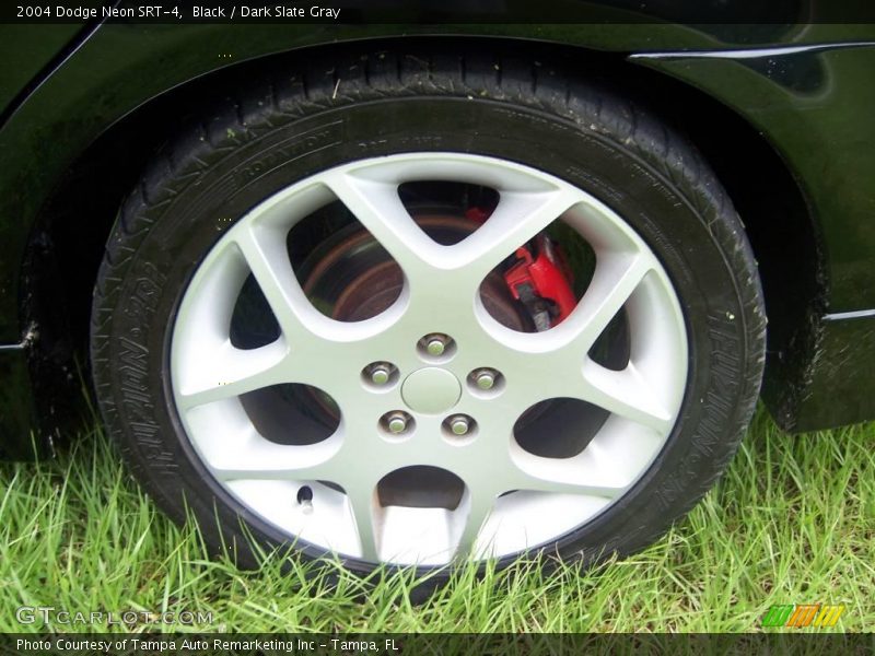 Black / Dark Slate Gray 2004 Dodge Neon SRT-4