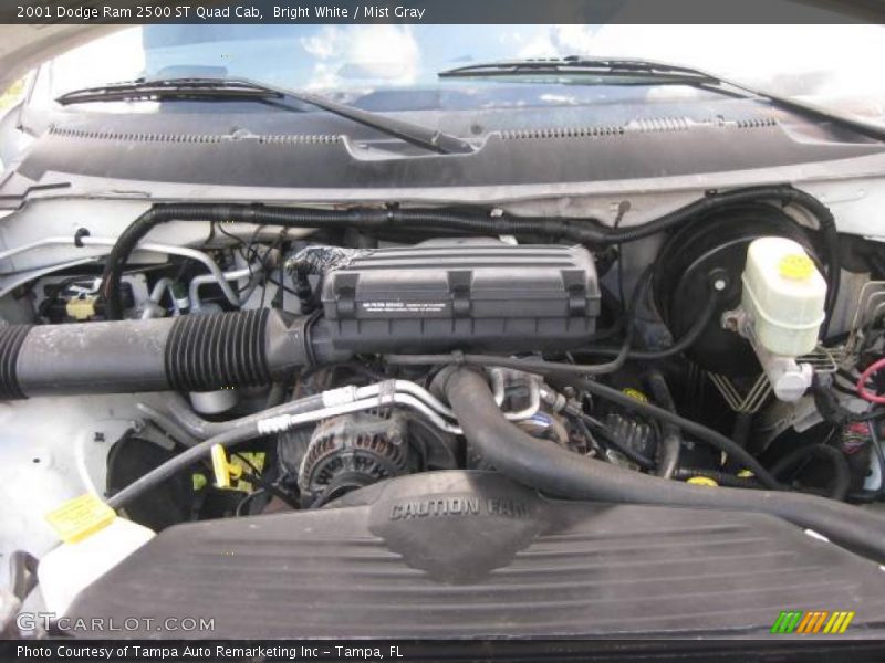 Bright White / Mist Gray 2001 Dodge Ram 2500 ST Quad Cab