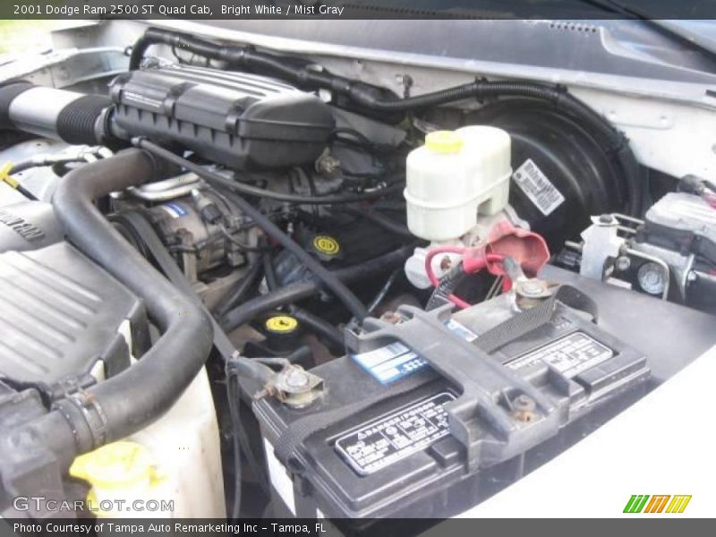 Bright White / Mist Gray 2001 Dodge Ram 2500 ST Quad Cab