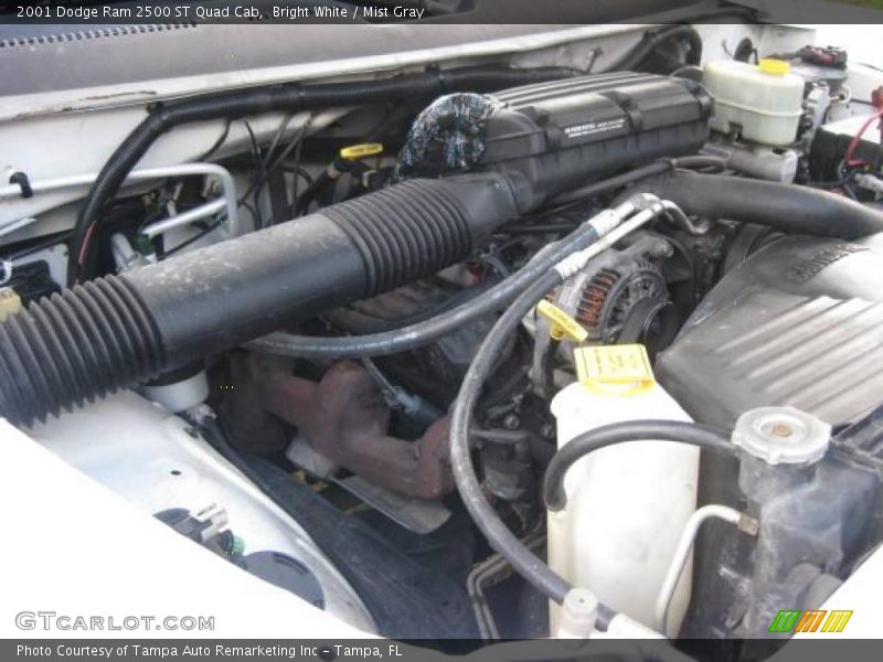 Bright White / Mist Gray 2001 Dodge Ram 2500 ST Quad Cab