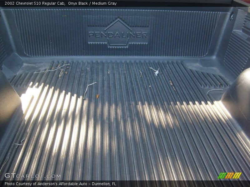 Onyx Black / Medium Gray 2002 Chevrolet S10 Regular Cab