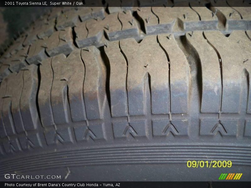 Super White / Oak 2001 Toyota Sienna LE