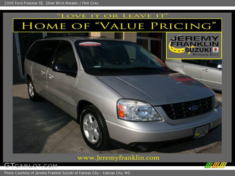 Silver Birch Metallic / Flint Grey 2006 Ford Freestar SE