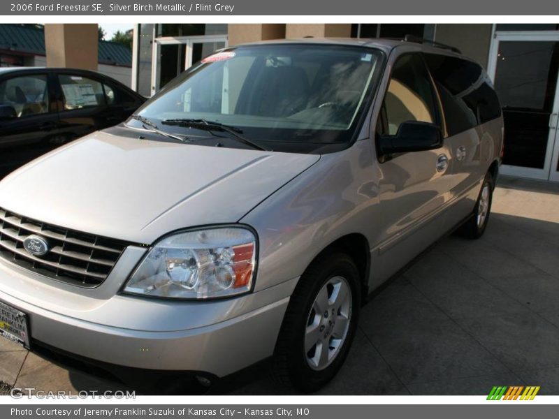 Silver Birch Metallic / Flint Grey 2006 Ford Freestar SE