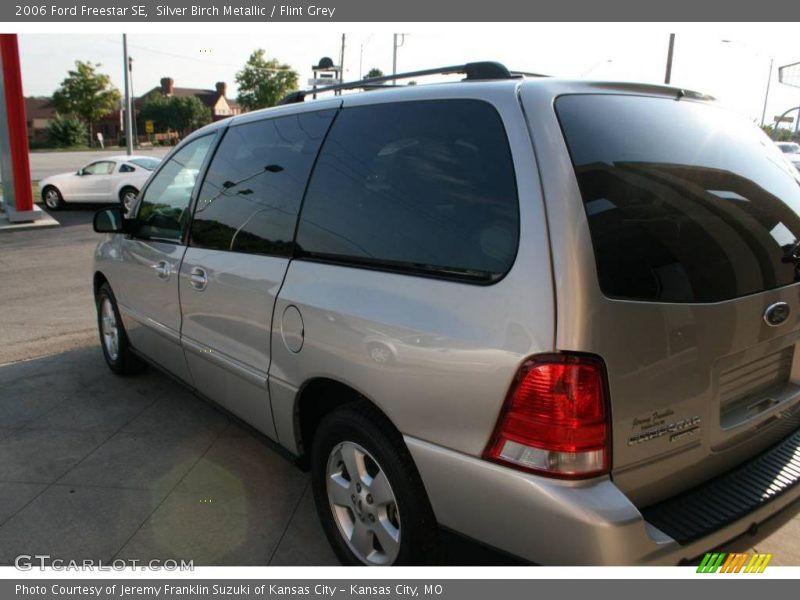 Silver Birch Metallic / Flint Grey 2006 Ford Freestar SE