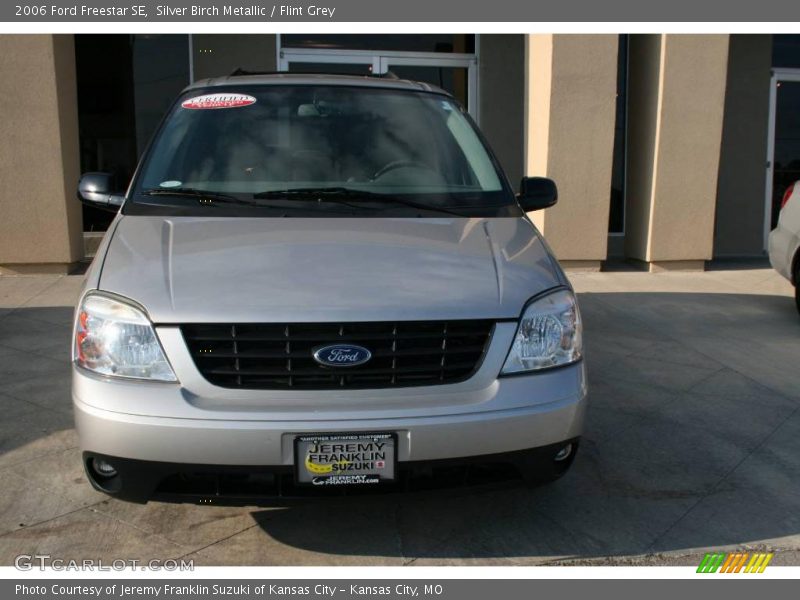 Silver Birch Metallic / Flint Grey 2006 Ford Freestar SE