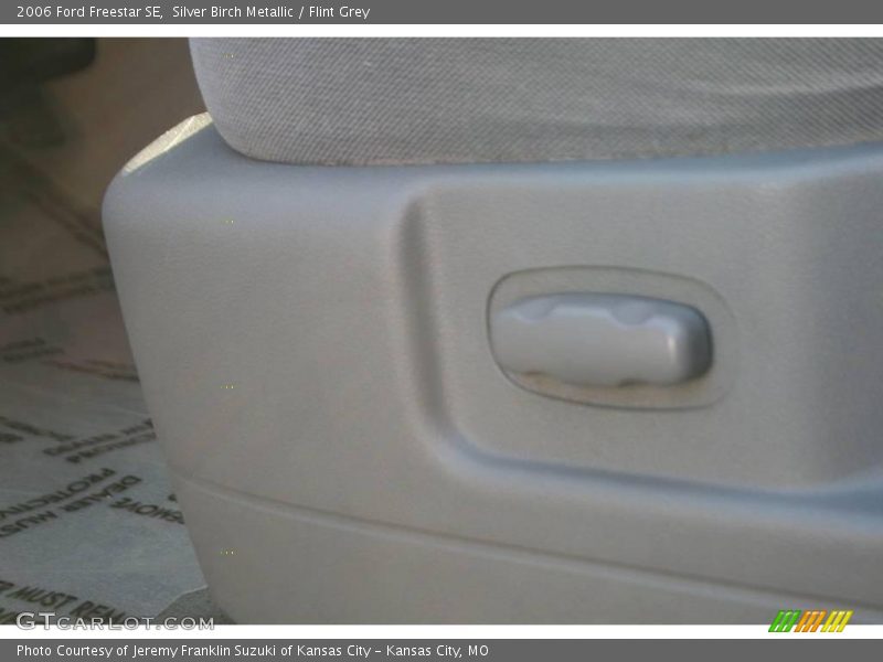 Silver Birch Metallic / Flint Grey 2006 Ford Freestar SE