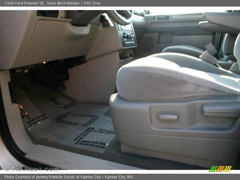 Silver Birch Metallic / Flint Grey 2006 Ford Freestar SE