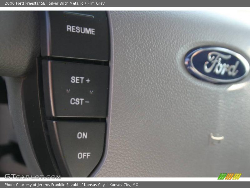 Silver Birch Metallic / Flint Grey 2006 Ford Freestar SE