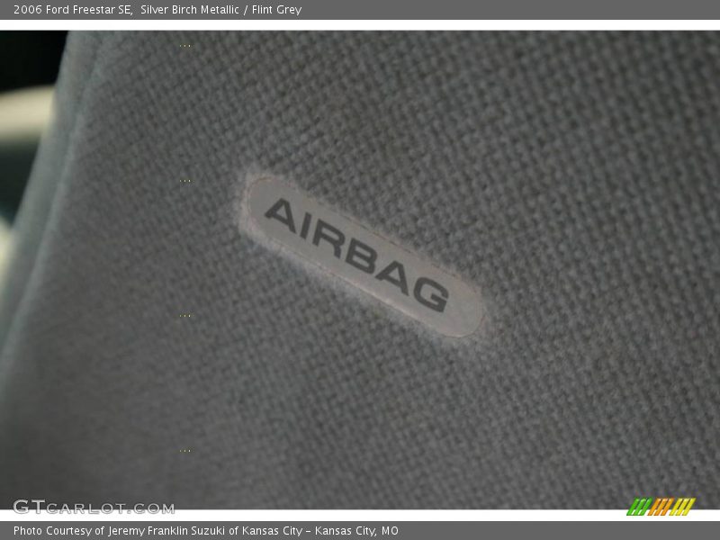 Silver Birch Metallic / Flint Grey 2006 Ford Freestar SE