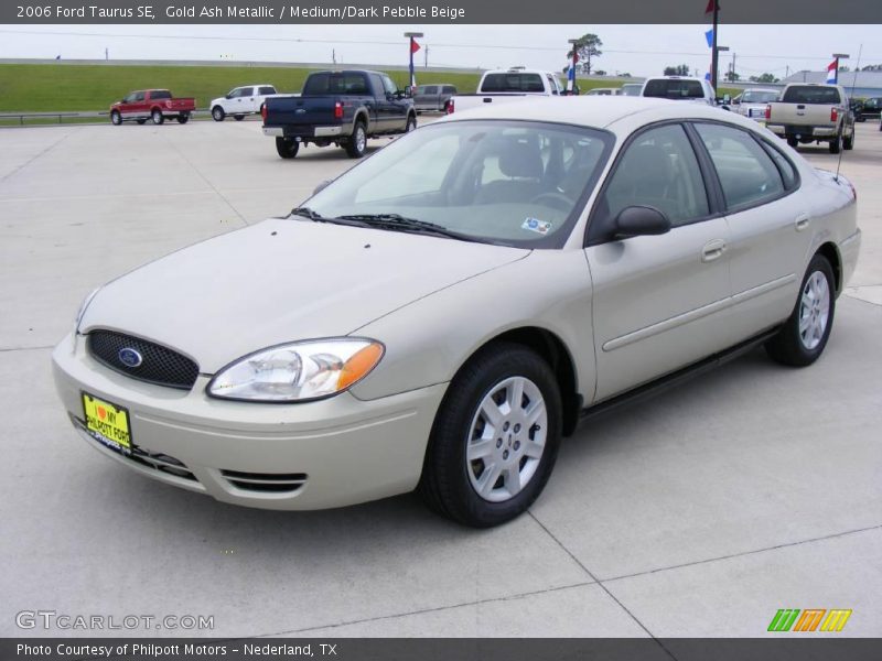 Gold Ash Metallic / Medium/Dark Pebble Beige 2006 Ford Taurus SE