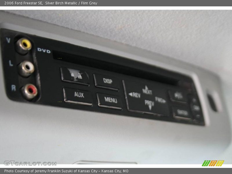 Silver Birch Metallic / Flint Grey 2006 Ford Freestar SE