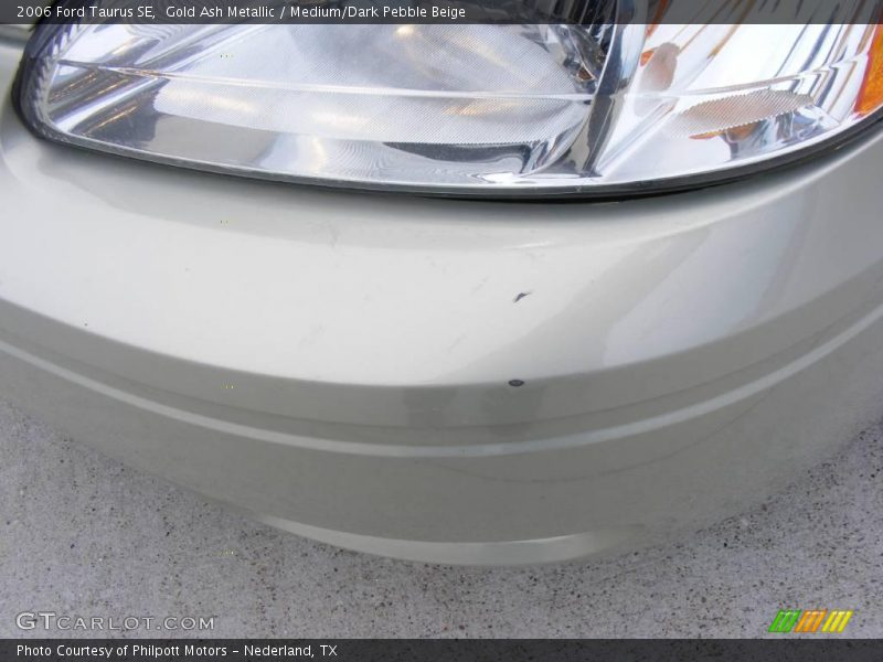 Gold Ash Metallic / Medium/Dark Pebble Beige 2006 Ford Taurus SE