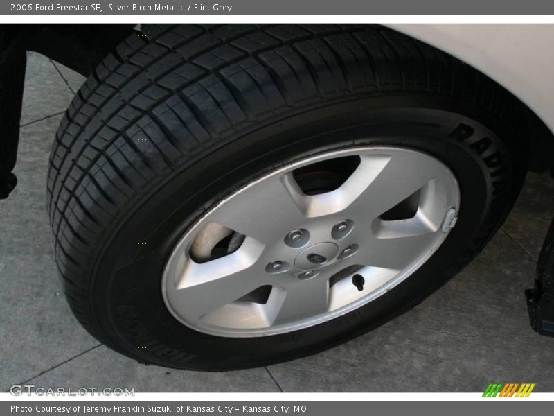 Silver Birch Metallic / Flint Grey 2006 Ford Freestar SE