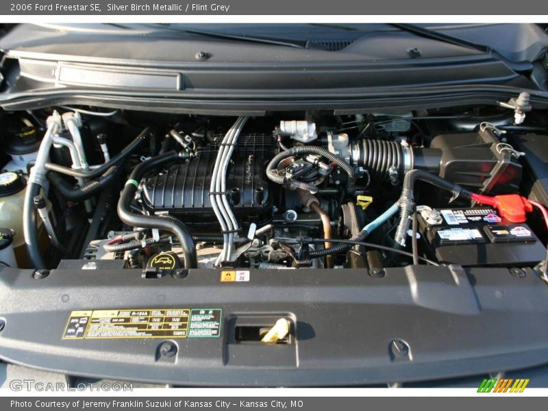 Silver Birch Metallic / Flint Grey 2006 Ford Freestar SE