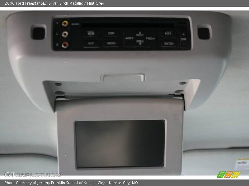 Silver Birch Metallic / Flint Grey 2006 Ford Freestar SE