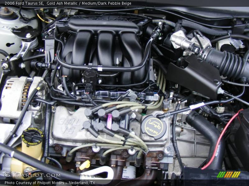 Gold Ash Metallic / Medium/Dark Pebble Beige 2006 Ford Taurus SE