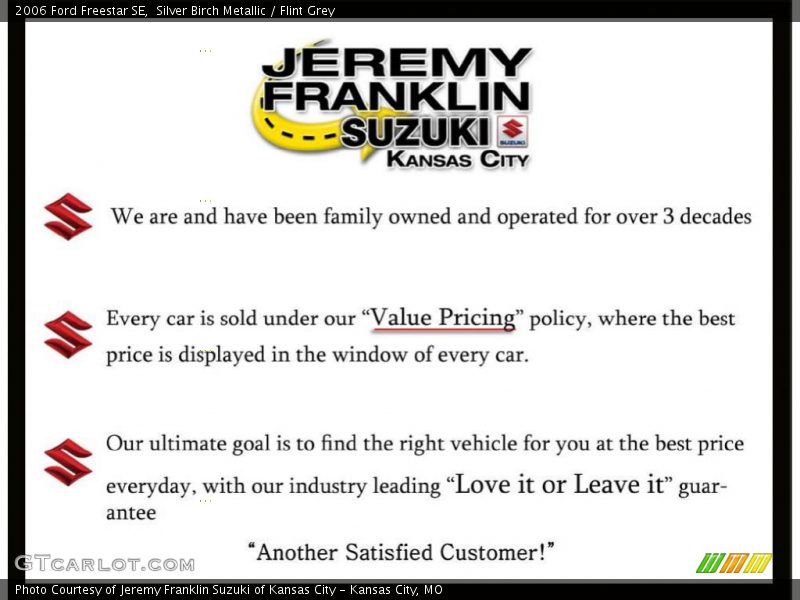 Silver Birch Metallic / Flint Grey 2006 Ford Freestar SE