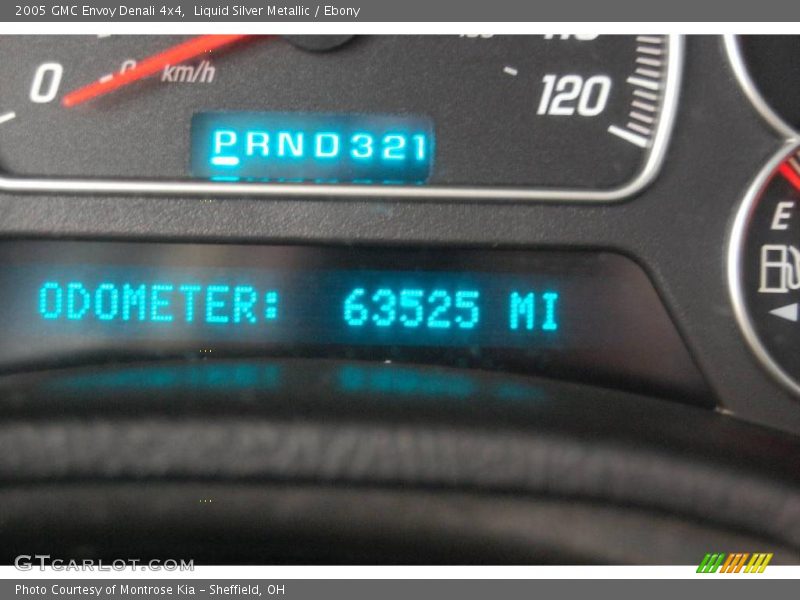Liquid Silver Metallic / Ebony 2005 GMC Envoy Denali 4x4