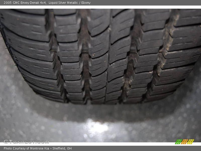 Liquid Silver Metallic / Ebony 2005 GMC Envoy Denali 4x4