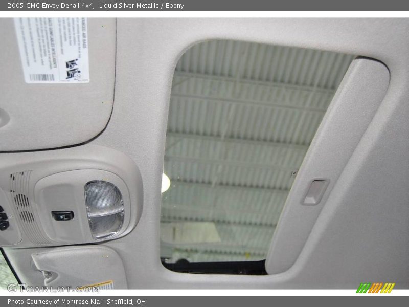 Liquid Silver Metallic / Ebony 2005 GMC Envoy Denali 4x4