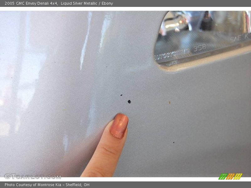 Liquid Silver Metallic / Ebony 2005 GMC Envoy Denali 4x4