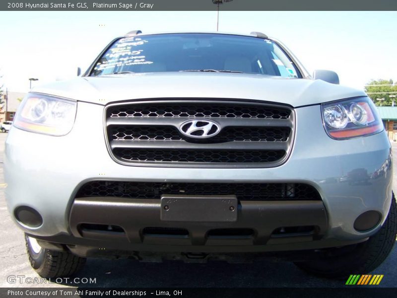 Platinum Sage / Gray 2008 Hyundai Santa Fe GLS
