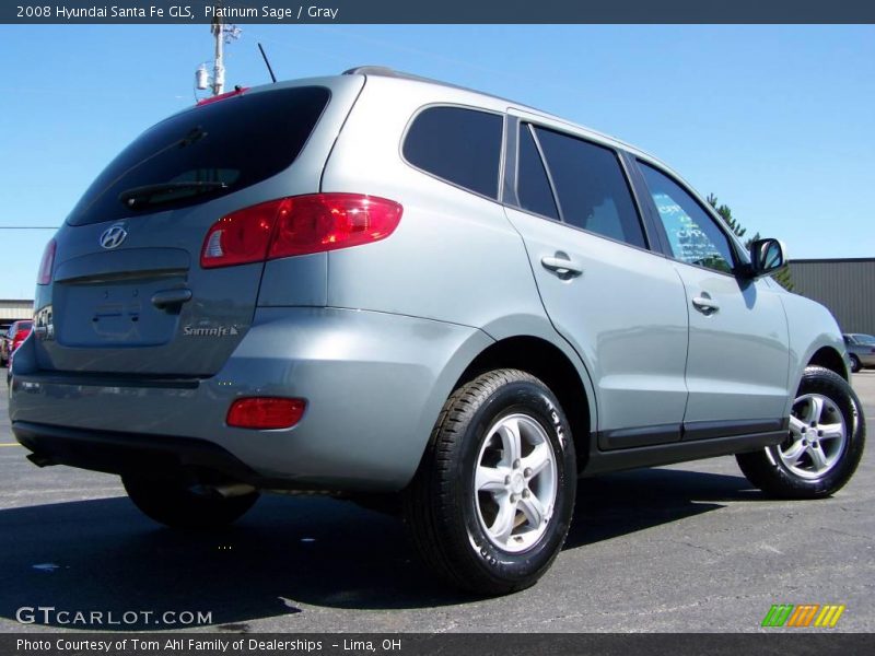Platinum Sage / Gray 2008 Hyundai Santa Fe GLS