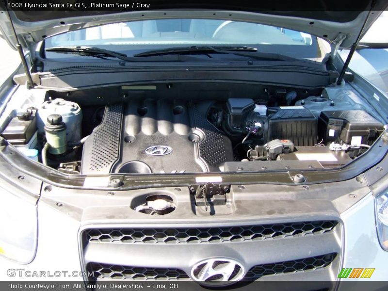 Platinum Sage / Gray 2008 Hyundai Santa Fe GLS
