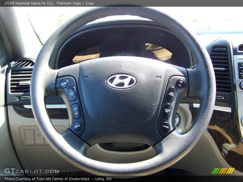Platinum Sage / Gray 2008 Hyundai Santa Fe GLS