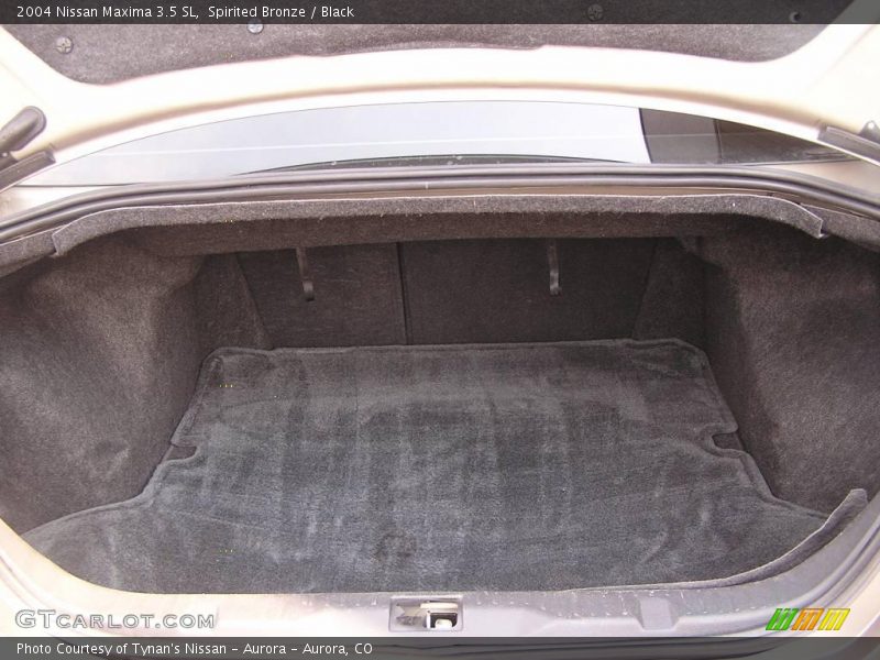 Spirited Bronze / Black 2004 Nissan Maxima 3.5 SL