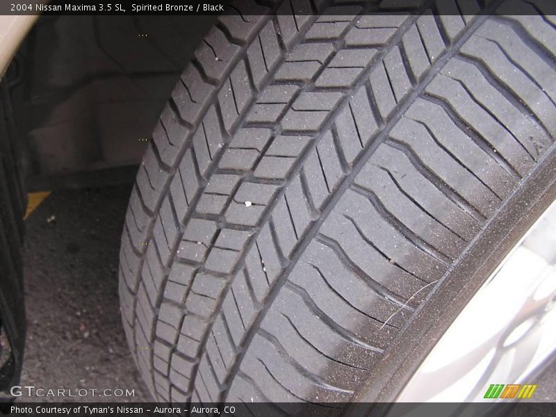 Spirited Bronze / Black 2004 Nissan Maxima 3.5 SL