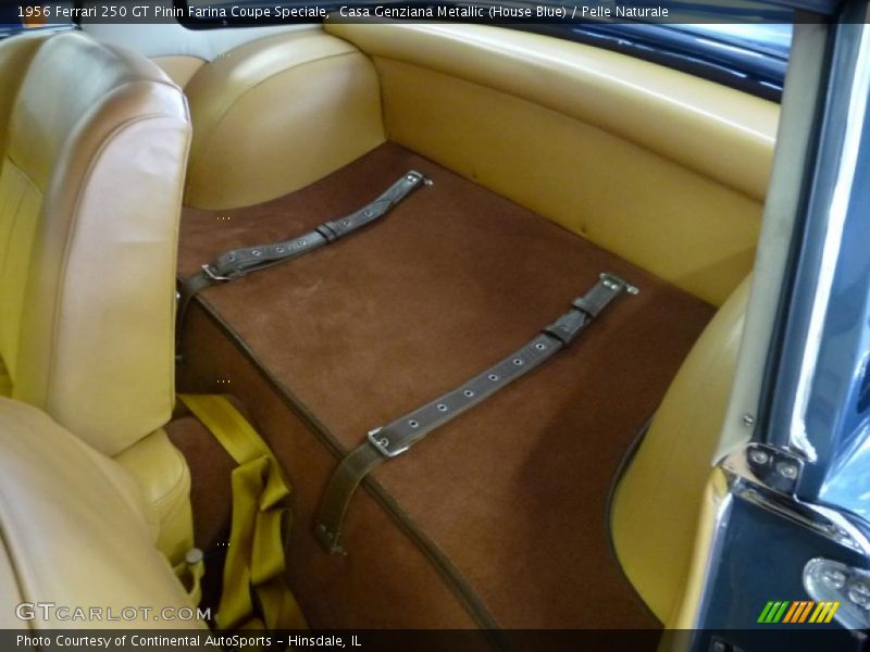  1956 250 GT Pinin Farina Coupe Speciale Pelle Naturale Interior