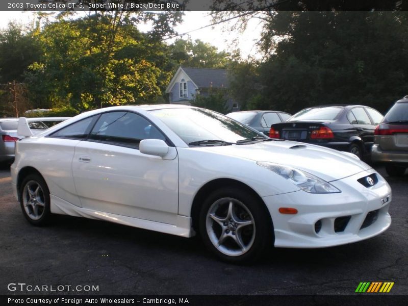 Super White / Black/Deep Blue 2003 Toyota Celica GT-S