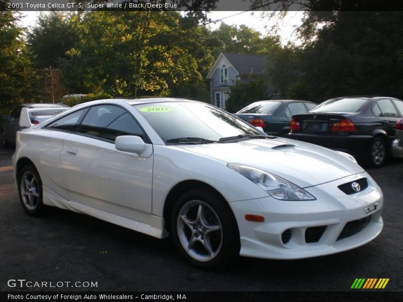 Super White / Black/Deep Blue 2003 Toyota Celica GT-S