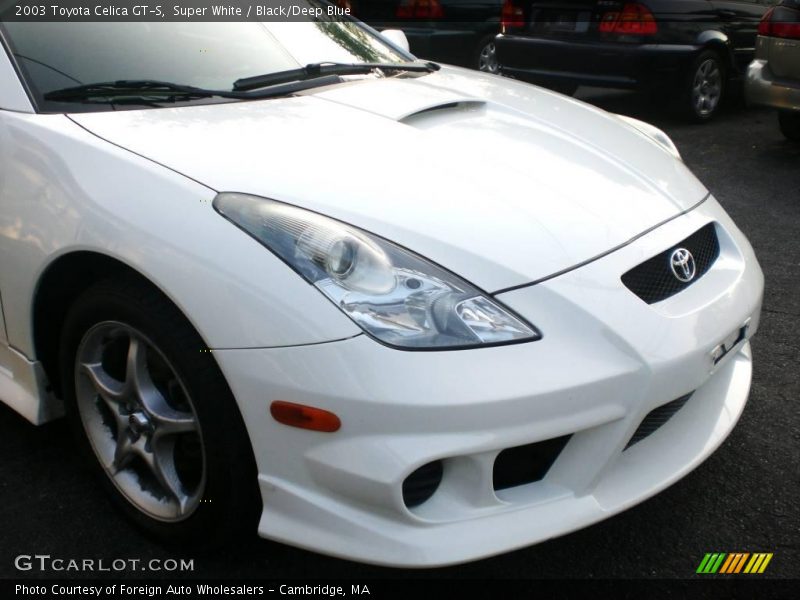 Super White / Black/Deep Blue 2003 Toyota Celica GT-S