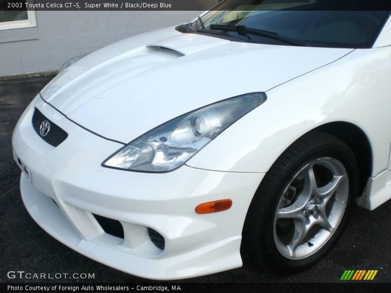 Super White / Black/Deep Blue 2003 Toyota Celica GT-S