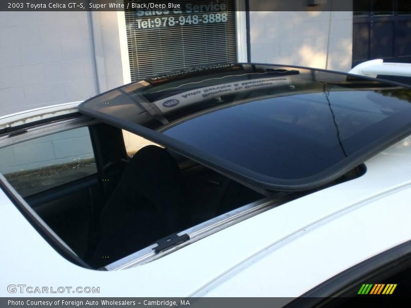 Super White / Black/Deep Blue 2003 Toyota Celica GT-S
