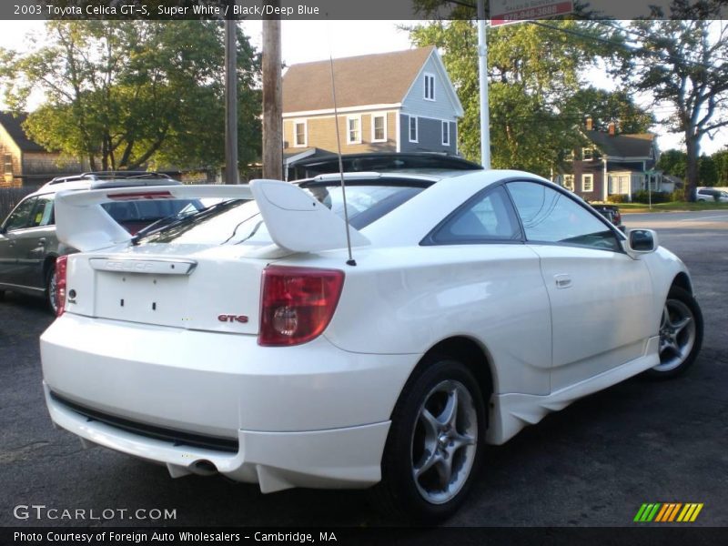 Super White / Black/Deep Blue 2003 Toyota Celica GT-S